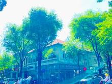 Hình ảnh Cho thuê nhà mặt tiền Lê Văn Sỹ, Quận 3, ngang 5 mét, 55 triệu