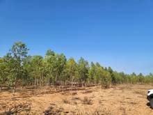 Hình ảnh Mảnh vườn 625 triệu, khu du lịch Safari Hồng Liêm, SHR