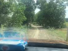 Hình ảnh Bán 2500m2 trồng tràm đang chờ thu hoạch, KDL Safari Hồng Liêm, SHR