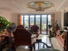 Hình ảnh Siêu phẩm hiếm phố hoàng cầu, 70m2, 7 tầng, mt6m, ô tô thang máy kd