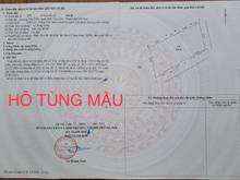 Hình ảnh Bán đất Hồ Tùng Mậu Kinh Doanh tốt, khu vực cực hiếm. Giá Đầu tư 80tr