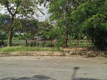 Hình ảnh Đất biệt thự Phừơng Thới An Quận 12, 200m2 thổ cư, Giá 10,8 tỷ