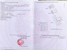 Hình ảnh Nhỏ xinh nở hậu giá hạt giẻ cô bắc q1