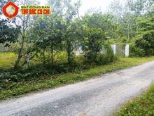 Hình ảnh Bán nhà đường nguyễn thị vui - 1395m2 - 30x50 - 300m2 thổ cư - xã phú