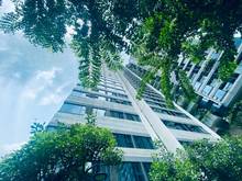 Hình ảnh Mua duplex tặng sân vườn 30-60m2 chiết khấu 4.5% - Kingdom101