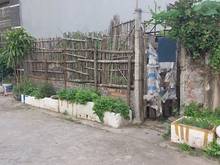 Hình ảnh Đất bìa làng 68m2, MT 4.2m. Đất bìa Xóm Đông, Vân Nội, Đông Anh.
