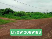 Hình ảnh Đất Sào Thanh Lương, Bình Long, BP 1.360m ja chỉ hơn 1 tỉ