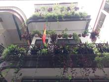Hình ảnh Bán nhà ngõ 262 Nguyễn Trãi Thanh Xuân 76m2x4 tầng MT5.5m giá 7.3tỷ