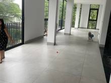Hình ảnh Cho thuê mặt bằng 2 tầng dưới mới, mặt tiền rộng, oto đỗ xung quanh