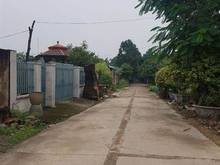 Hình ảnh Đất chính chủ -  gần UBND Giang Điền - 100m2 - 800tr - SHR- Gần  - Diệ