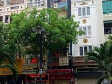 Hình ảnh Cho thuê nhà Mặt tiền 188A Nam Kỳ Khởi Nghĩa, Quận 3 đoạn 2 chiều