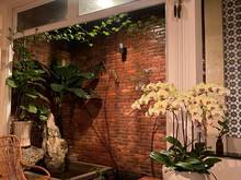 Hình ảnh Bán nhà Biệt Thự Hoàng Hoa Thám 9x15m 135m2 Trệt 3 Lầu - Giá 17.5 Tỷ