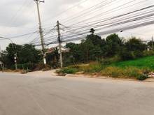 Hình ảnh Còn 5 lô ngay mặt tiền đường nội bộ số 26 , trung tâm chợ Bình Chánh