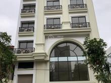 Hình ảnh Cho thuê tòa khách sạn 555m2, 8 tầng, 1 hầm, 116 phòng, Đỗ Đức Dục