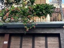 Hình ảnh Hàng Hiếm! Nhà bán MT Trần Quang khải, Quận 1. NH (9.2x20m), 2 tầng