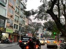 Hình ảnh Cho thuê nhà 4 tầng mặt phố Lê Văn Hưu, diện tích: 80m2