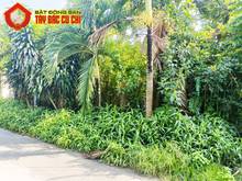 Hình ảnh Bán đất hẻm 106 - 323m2 - 8x41 - xã tân thạnh đông - củ chi