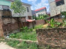Hình ảnh Bán đất Thanh Lâm, Mê Linh 61m2 mặt tiền 4,5m giá 1,3 tỷ, ngõ ô tô