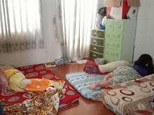 Hình ảnh Nhà Phừơng 8 Gò Vấp, 50m2 2PN, Giá 3,8 tỷ
