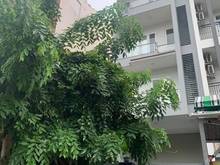 Hình ảnh Bán GẤP trong tuần : Nhà Gò Gầu , Hẻm thông , 7 chỗ đỗ cửa