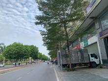 Hình ảnh Cần cho thuê lô 18 C16 Khu C geleximco, mặt đường Lê Trọng Tấn. 155m2.
