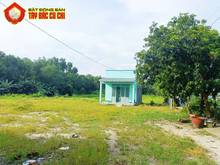 Hình ảnh Bán đất 1/ đường cây gõ - 4611m2 - 40x136 - 300m2 thổ cư - xã an phú