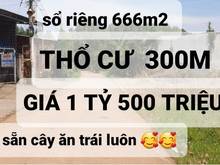 Hình ảnh Bán vườn trái cây cách TPHCM 40KM. 39x33 giá 1 tỷ rưỡi