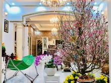 Hình ảnh Chỉ 80 triệu! Hẻm xe hơi Hoàng Hoa Thám Bình Thạnh 160m2 giá 12,99tỷ