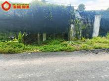 Hình ảnh Bán nhà 2 mặt tiền 1/ Nguyễn Văn Tiệp - 755m2 - 14x59 - xã An Phú