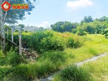 Hình ảnh Bán đất 2/ Nguyễn Thị Lắng - 1005m2 - 18x55 - 300m2 thổ cư - Củ Chi