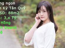 Hình ảnh 🏠 Bán gấp, DT 88m2, 3,x tỷ, Kinh Doanh, Ô tô, Tân Kỳ Tân Quý, Bình Tâ