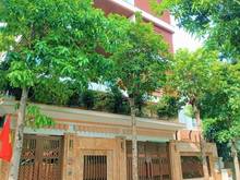 Hình ảnh Bán Biệt thự Khu ĐT Yên Hòa, Cầu Giấy 200M – 3 Tầng – MT 14m: 43 Tỷ
