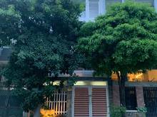 Hình ảnh CHO THUÊ Nhà nguyên căn ngang 6m, mới đẹp gần ĐH Văn Lang CS3, View CV