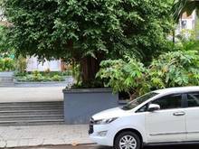Hình ảnh Ban nhà hxh 54m2 quốc lộ 13 hiệp bình phước nhà 4 tầng giá 6 tỷ ..