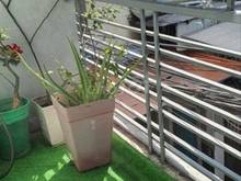 Hình ảnh Nhà Nguyên Căn tại trung tâm Tân Bình