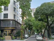 Hình ảnh Bán nhà phố Tú Mỡ, Cầu Giấy, 60m2, 4T, MT5m, giá 10 tỷ, 933705193