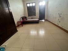 Hình ảnh Bán Nhà Mặt Tiền Phạm Văn Bạch, P12, Gò Vấp, 116m2, 3 tầng,