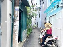 Hình ảnh 107m2 Quang Trung,p10 GV nở hậu,4pn chỉ 5.4 tỷ TL