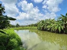 Hình ảnh Bán gấp lô đất sân vườn Bàu Cạn giá siêu rẻ