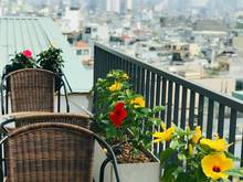 Hình ảnh Căn Hộ  Phong Cách Sang Xịn Ban Công Chill,Đường Nguyễn Giản Thanh,Q10