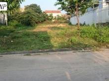 Hình ảnh Đất chính chủ - gần KDC Tam Phước (Trảng Bom)- 100m2 - 650tr - SHR