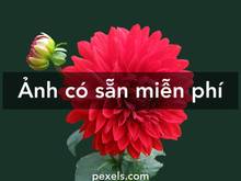 Hình ảnh Cho thuê nhà MP Thái Phiên - Quận HBT, MT 8m, DT 180m2, 2 tầng.