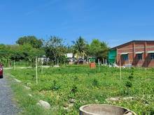 Hình ảnh Đất chợ chính chủ giá rẻ Tân Châu