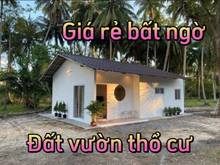 Hình ảnh Đất vườn trái cây- ngay trung tâm vĩnh tân- giá chỉ 1tr1/m2.