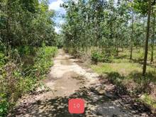 Hình ảnh Đất cao su gần 1ha tổng diện tích 9408m2 giá rẻ