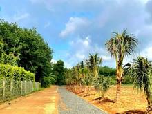 Hình ảnh Đất thành phố đồng xoài view hồ