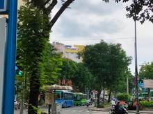 Hình ảnh Nhà MT Phạm Ngũ Lão, P.P Ngũ Lão Q.1, dt 4.1x15m, T,1L,ST, giá 43.2 tỷ