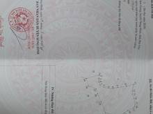 Hình ảnh đất cây lâu năm,đất rừng,đất rẫy Sông Hinh,Phú Yên giá 100-500tr/1hec