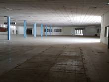 Hình ảnh Cho thuê nhà xưởng quận 12 dt: 600m2 giá 38 triêu/tháng