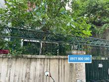 Hình ảnh Biệt thự sân vườn HẺM XE HƠI Phạm Ngọc Thạch, 220m2, Giá 80 triệu